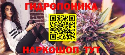 гашишное масло Кандалакша