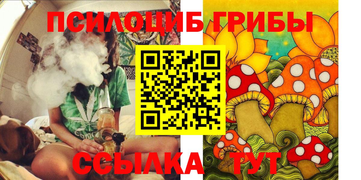 Галлюциногенные грибы прущие грибы Кудымкар