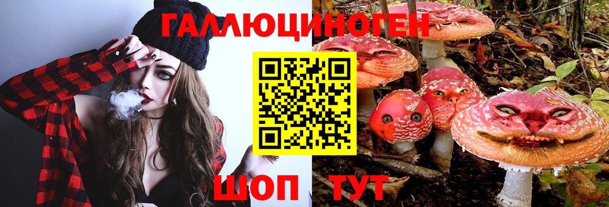 Галлюциногенные грибы Cubensis  Кудымкар 