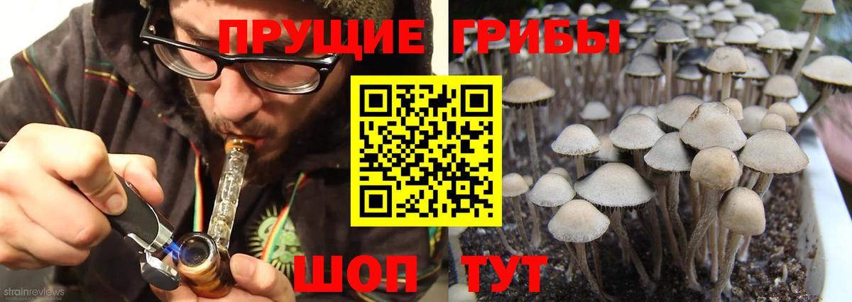 Галлюциногенные грибы Magic Shrooms  Вход с VPN  Галлюциногенные грибы Psilocybe  Кудымкар 